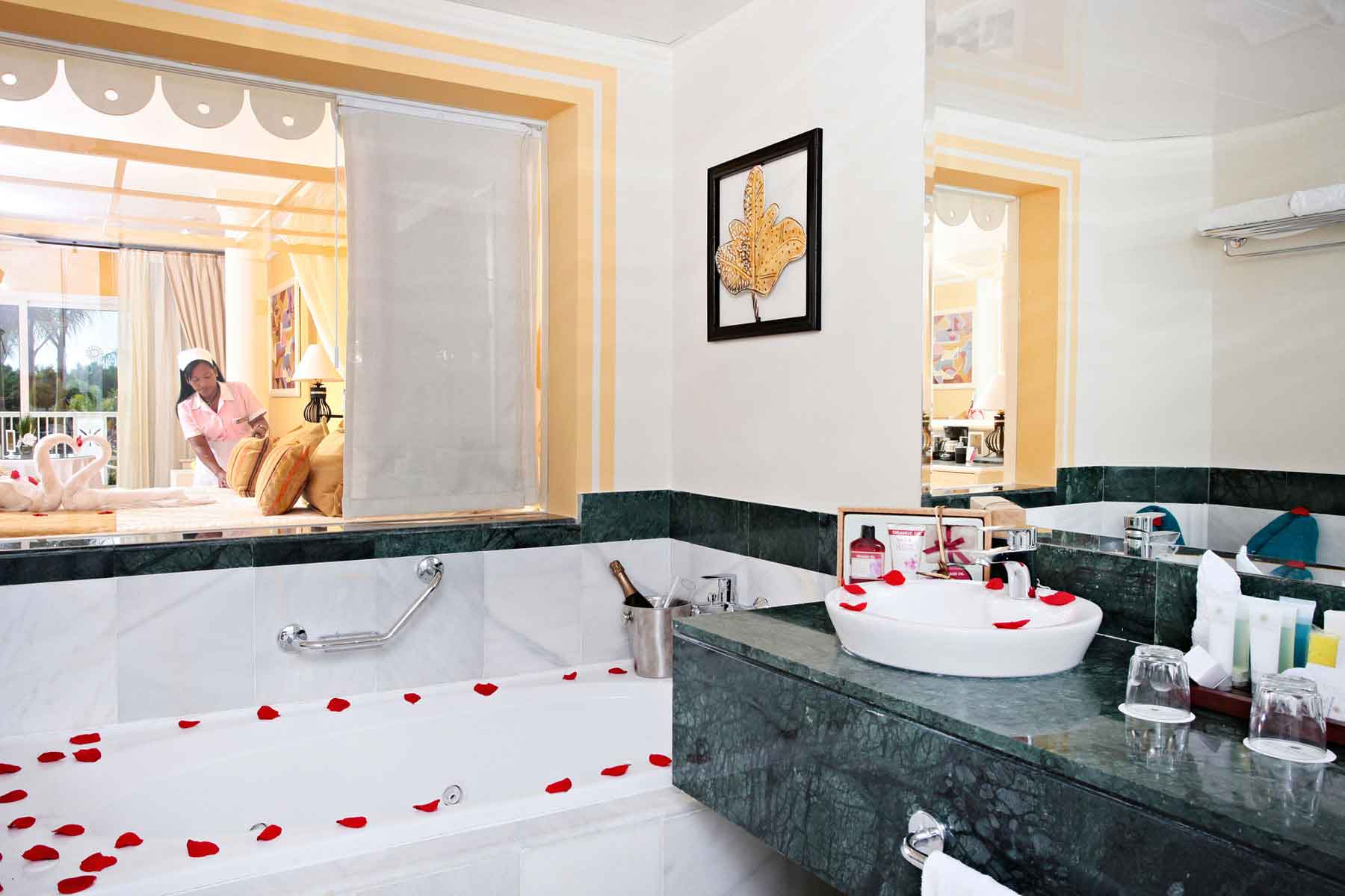 Todo incluido Luxury Bahia Principe Bouganville