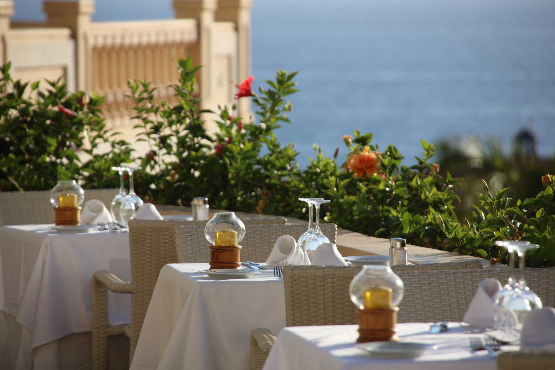 Gastronomy at Bahia Principe Costa Adeje