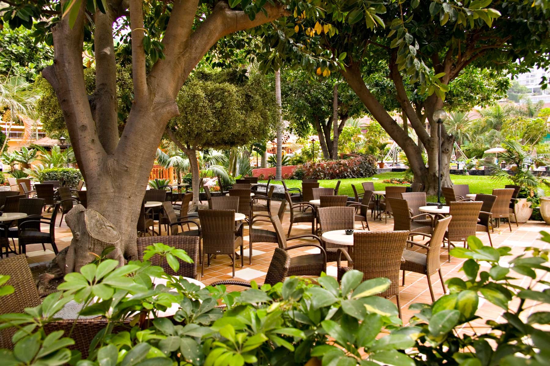 Gastronomy at Bahia Principe San Felipe