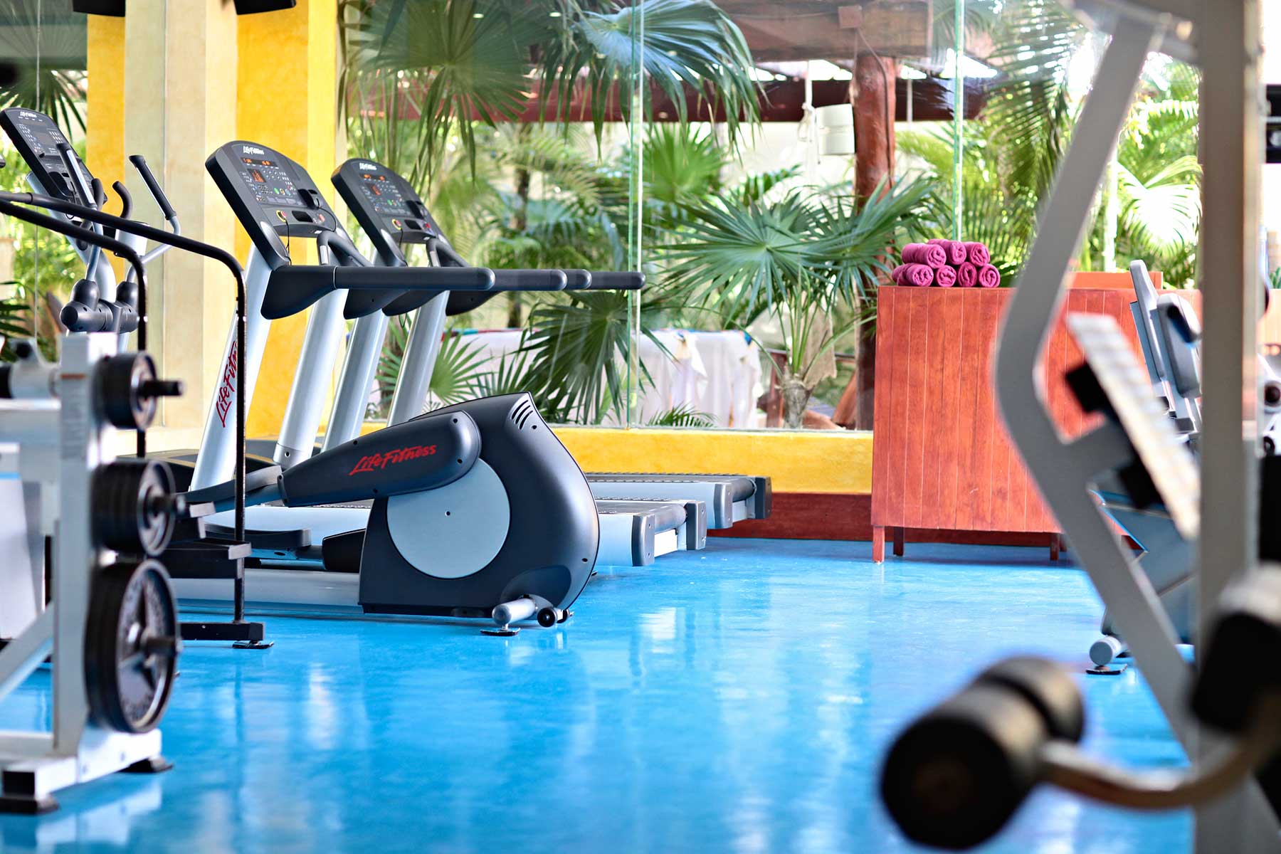 Actividades Luxury Bahia Principe Akumal