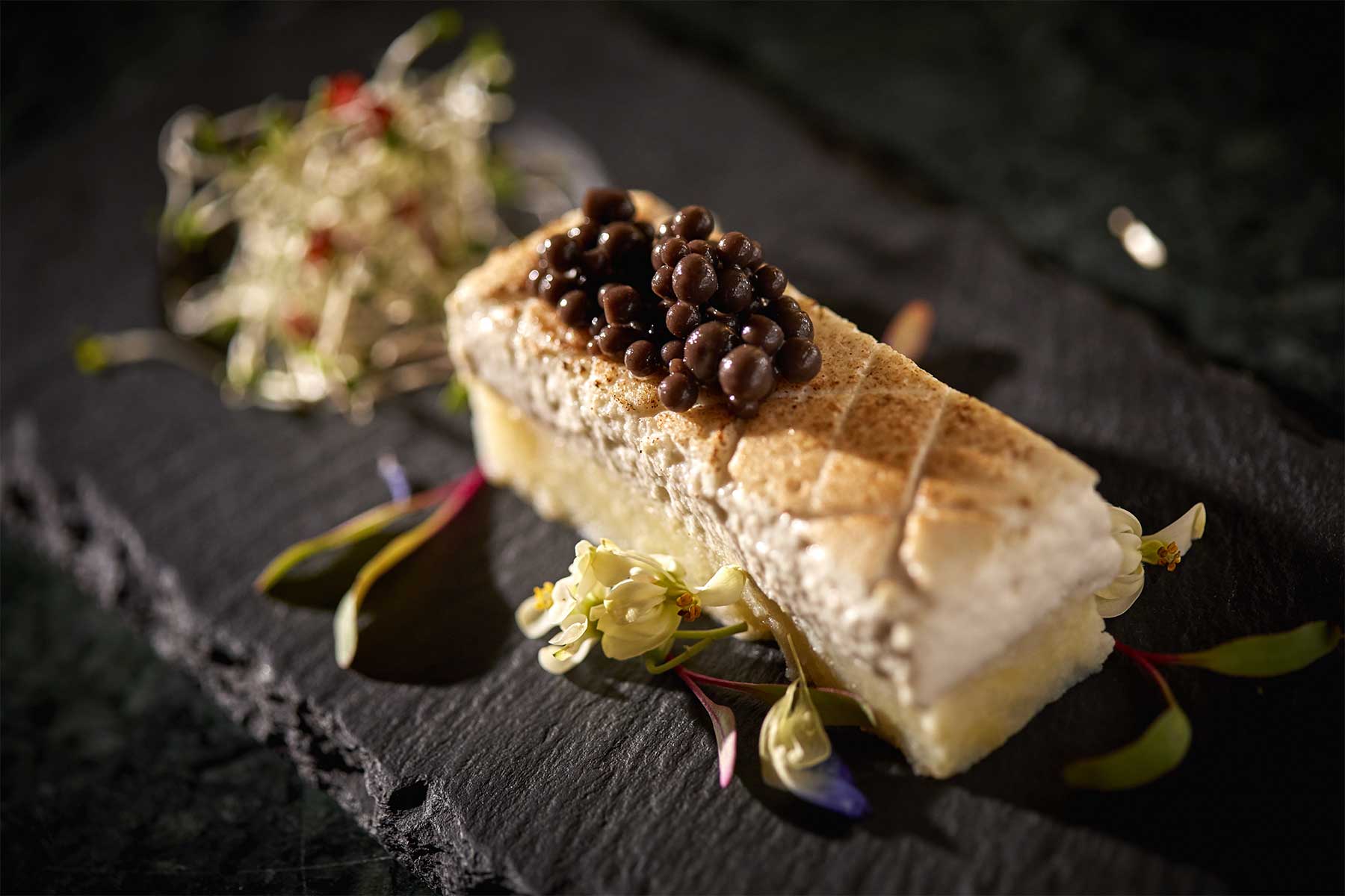 Todo Incluido - Luxury Bahia Principe