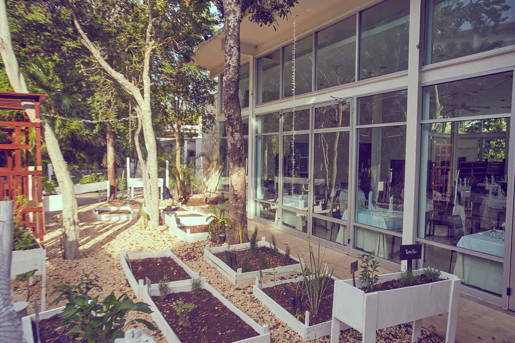 Imagen principal restauración Luxury Bahia Principe Sian Ka