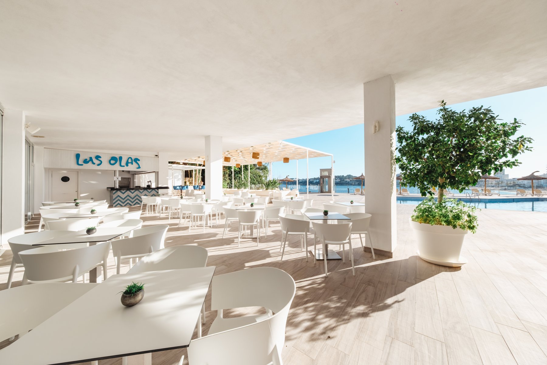 Gallery Resort Coral Playa 7